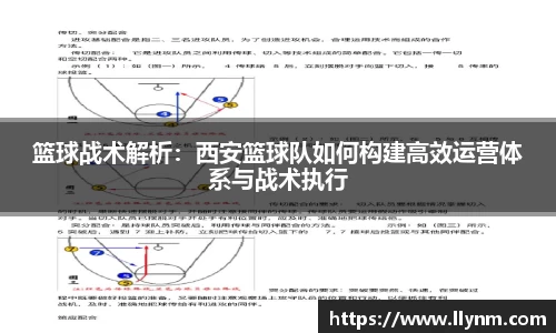 博鱼.体育官网