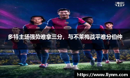 博鱼.boyu体育