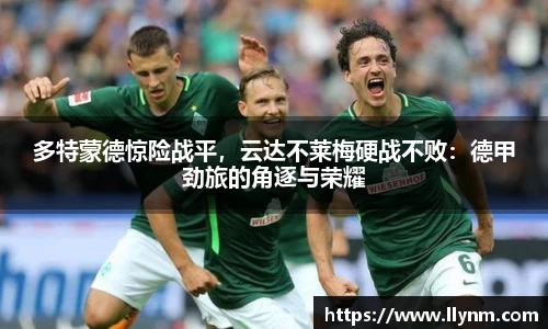 博鱼中国官方网站