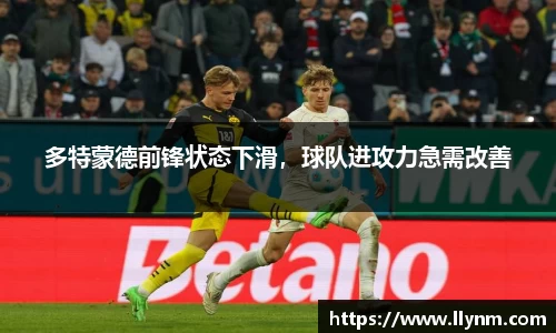 博鱼.体育官网