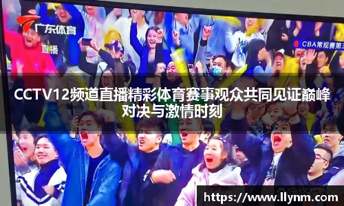 CCTV12频道直播精彩体育赛事观众共同见证巅峰对决与激情时刻