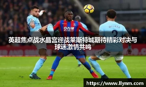 博鱼.体育官网