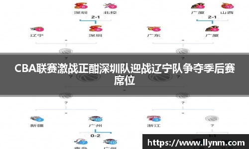 CBA联赛激战正酣深圳队迎战辽宁队争夺季后赛席位