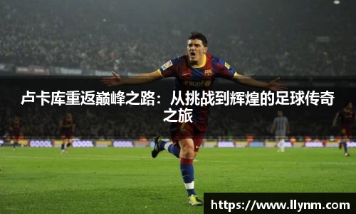 博鱼.体育官网