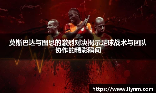 博鱼.体育官网