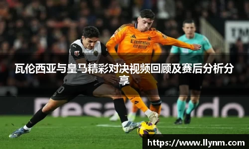 博鱼.体育官网