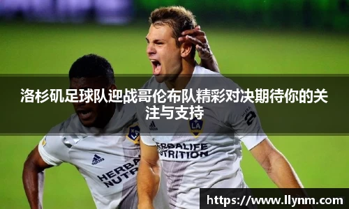 博鱼中国官方入口